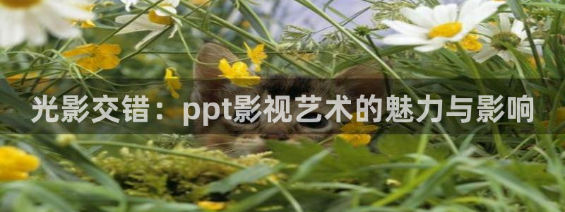 在線無限看免費藍莓視頻：光影交錯：ppt影視藝術的魅力與影響